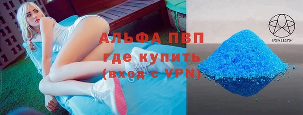 прущие грибы Зерноград